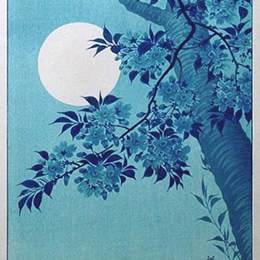 《月光下的樱桃》小原古邨(Ohara Koson)高清作品欣赏