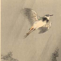 《拉平》小原古邨(Ohara Koson)高清作品欣赏