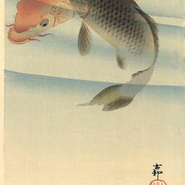 《两锦鲤》小原古邨(Ohara Koson)高清作品欣赏