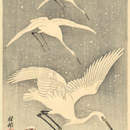 《雪中??的白鸟》小原古邨(Ohara Koson)高清作品欣赏