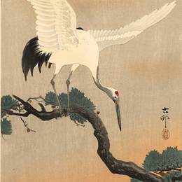 《鹤在他的巢上》小原古邨(Ohara Koson)高清作品欣赏