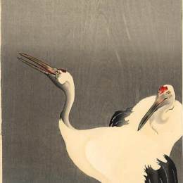 小原古邨(Ohara Koson)高清作品:Grasshoper and Fool Moon_小原古邨 