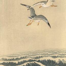 《海浪之上的海鸥》小原古邨(Ohara Koson)高清作品欣赏