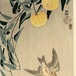 《布谷鸟-初夏的雨》小原古邨(Ohara Koson)高清作品欣赏