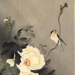 《牡丹吞》小原古邨(Ohara Koson)高清作品欣赏