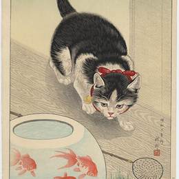 《金鱼猫碗》小原古邨(Ohara Koson)高清作品欣赏