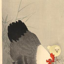 《母鸡和两只小鸡在草地上》小原古邨(Ohara Koson)高清作品欣赏