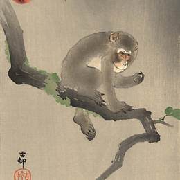 《树上的猴子》小原古邨(Ohara Koson)高清作品欣赏