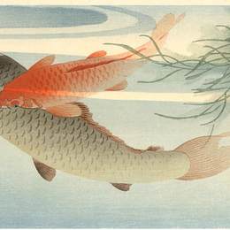 《金鲤》小原古邨(Ohara Koson)高清作品欣赏