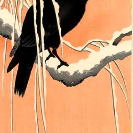 《乌鸦》小原古邨(Ohara Koson)高清作品欣赏