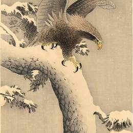 《雪下鹰》小原古邨(Ohara Koson)高清作品欣赏