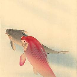 《鲤鱼》小原古邨(Ohara Koson)高清作品欣赏