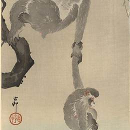 《猴子和她的孩子》小原古邨(Ohara Koson)高清作品欣赏