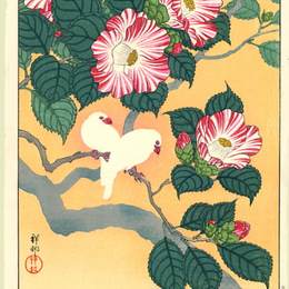 《茶花与稻鸟》小原古邨(Ohara Koson)高清作品欣赏