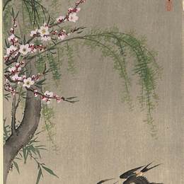 《飞行中的两个谷仓燕子，柳枝和开花车》小原古邨(Ohara Koson)高清作品欣赏