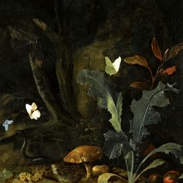 《蓟马、栗子和木马的夜间森林景观》奥托·马尔斯尤斯·冯·世里克(Otto Marseus van Schrieck)高清作品欣赏