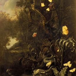 《植物与昆虫》奥托·马尔斯尤斯·冯·世里克(Otto Marseus van Schrieck)高清作品欣赏