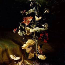 《静物与鲜花》奥托·马尔斯尤斯·冯·世里克(Otto Marseus van Schrieck)高清作品欣赏