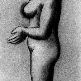 《女性裸体照片》巴勃罗·毕加索(Pablo Picasso)高清作品欣赏