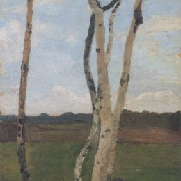 《桦木树干景观》保拉·莫德索恩-贝克尔(Paula Modersohn-Becker)高清作品欣赏