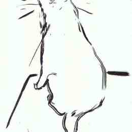 《猫》皮尔·波纳尔(Pierre Bonnard)高清作品欣赏