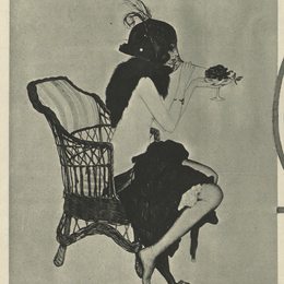 《纽约论坛报》拉斐尔基什内尔(Raphael Kirchner)高清作品欣赏