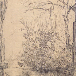 《沟中悬垂的灌木丛》伦勃朗(Rembrandt)高清作品欣赏