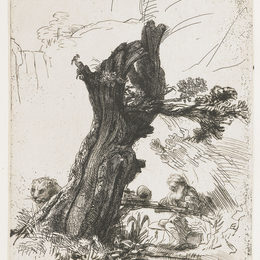 《在一棵角被割下的杨柳旁边的圣杰罗姆》伦勃朗(Rembrandt)高清作品欣赏