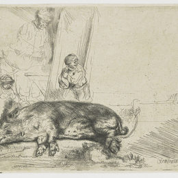 《猪》伦勃朗(Rembrandt)高清作品欣赏