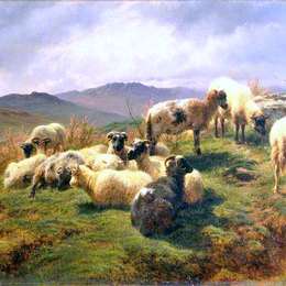 《高原绵羊》罗莎·博纳尔(Rosa Bonheur)高清作品欣赏