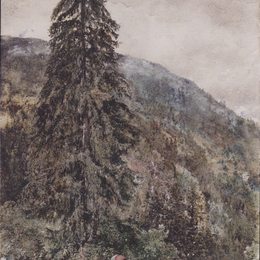 《Gastein的大松树》鲁道夫·冯阿尔特(Rudolf von Alt)高清作品欣赏