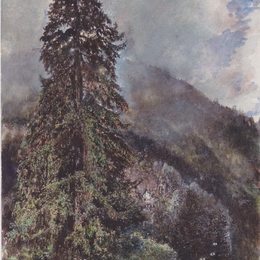 《Gastein的大松树》鲁道夫·冯阿尔特(Rudolf von Alt)高清作品欣赏
