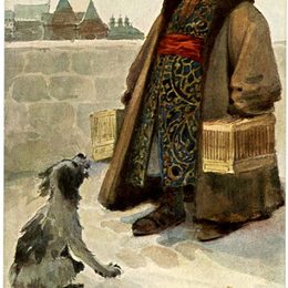 《伯德发烧友》谢尔盖所罗门(Sergey Solomko)高清作品欣赏