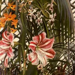 《兰花、百合、棕榈》斯坦利·斯宾塞(Stanley Spencer)高清作品欣赏
