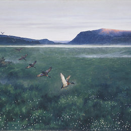 《12只野鸭12村民》蒂奥多·吉特尔森(Theodor Severin Kittelsen)高清作品欣赏