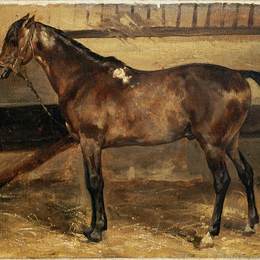 《摊位上的棕色马》泰奥多尔·席里柯(Theodore Gericault)高清作品欣赏
