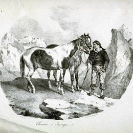 《奥弗涅的马》泰奥多尔·席里柯(Theodore Gericault)高清作品欣赏