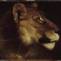 《狮子头》泰奥多尔·席里柯(Theodore Gericault)高清作品欣赏