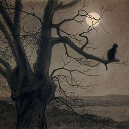 《月光下的猫》索菲尔·史坦林(Theophile Steinlen)高清作品欣赏