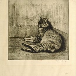 《睡在角落里的猫》索菲尔·史坦林(Theophile Steinlen)高清作品欣赏