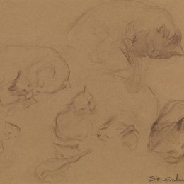 《猫研究》索菲尔·史坦林(Theophile Steinlen)高清作品欣赏