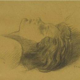 《睡觉的女人的头》索菲尔·史坦林(Theophile Steinlen)高清作品欣赏