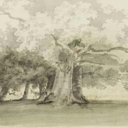 《公园里的树》托马斯·格尔丁(Thomas Girtin)高清作品欣赏
