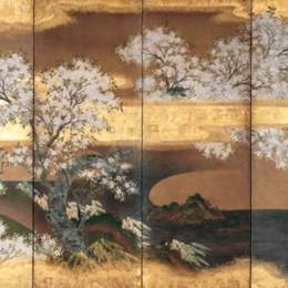 《樱花树》土佐光起(Tosa Mitsuoki)高清作品欣赏