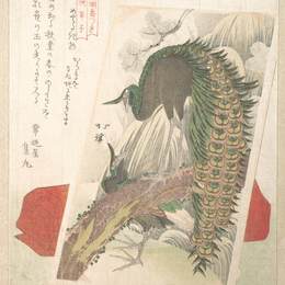 《孔雀、瀑布和红枕的绘画》鱼屋北溪(Toyota Hokkei)高清作品欣赏