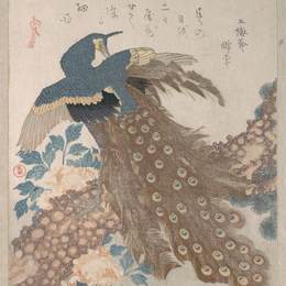 《松树上的孔雀》鱼屋北溪(Toyota Hokkei)高清作品欣赏