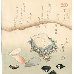 《贝壳》鱼屋北溪(Toyota Hokkei)高清作品欣赏