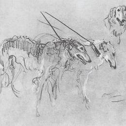 《猎犬》瓦伦丁·谢罗夫(Valentin Serov)高清作品欣赏