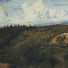 《阿布拉日耶沃的风景》维克托·米哈伊洛维奇·瓦斯涅佐夫(Viktor Vasnetsov)高清作品欣赏