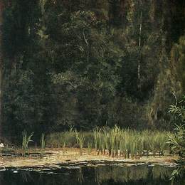 维克托·米哈伊洛维奇·瓦斯涅佐夫(Viktor Vasnetsov)高清作品:Pond in Akhtyrka